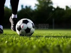 周震南家长,被曝光为失,信被执行人,平博体育官网,平博体育直播,体育赛事直播,足球直播