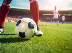 平博体育,资讯,平博体育官网,平博体育官网,平博体育直播,体育赛事直播,足球直播