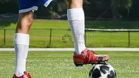 张艺谋与张伟平就损害债权人权益争议对簿公堂