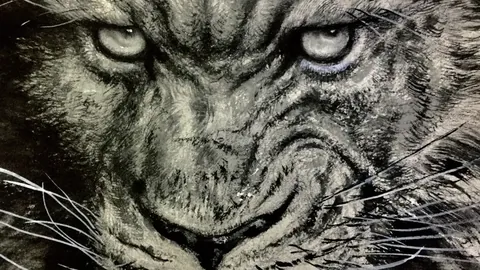 大乐透期号专家推荐：质合分析前区十码，阿斯顿维拉胜负预测